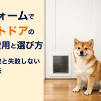 画像509