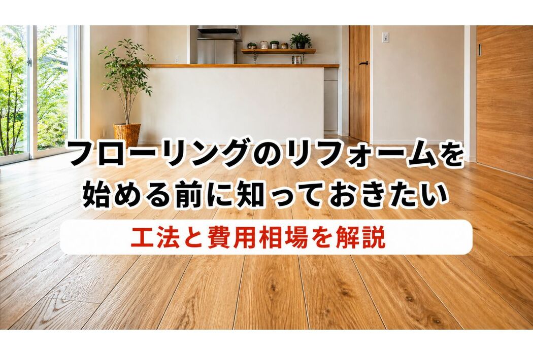 画像558